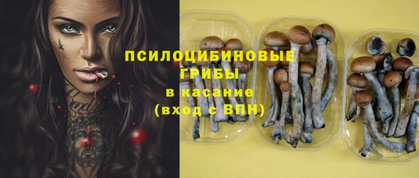 гидра Лихославль