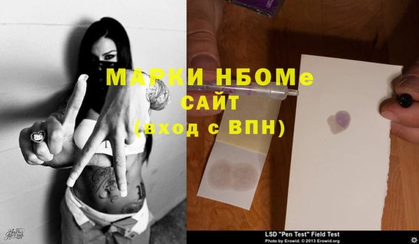 стаф Липки