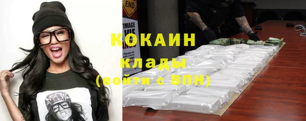 гидра Лихославль