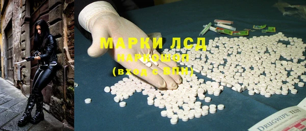 стаф Липки