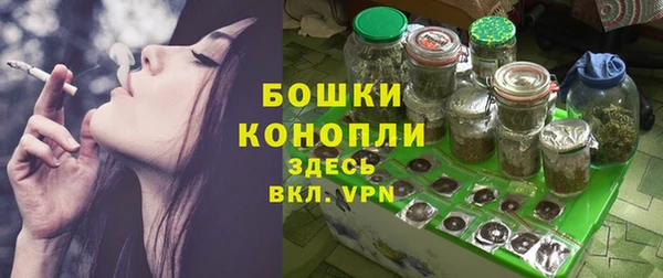 метадон Лагань