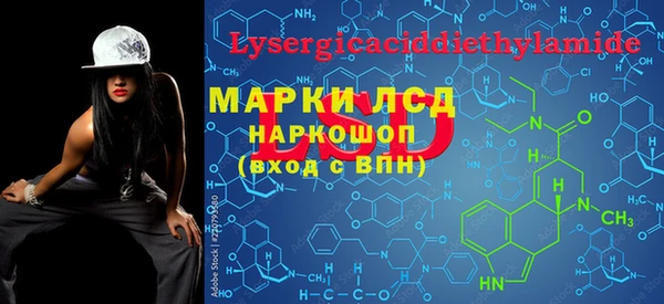 стаф Липки
