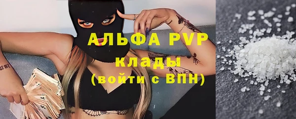 стаф Липки