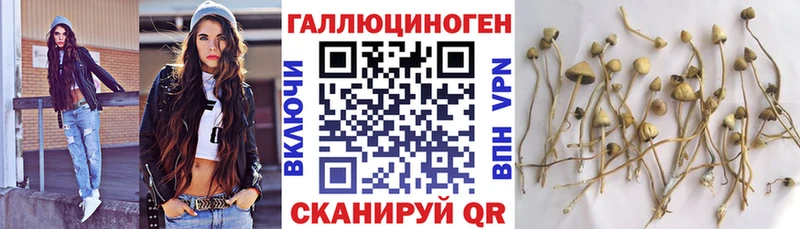 Галлюциногенные грибы GOLDEN TEACHER  Петропавловск-Камчатский 