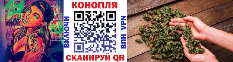 как найти закладки  Петропавловск-Камчатский  Канабис Amnesia 